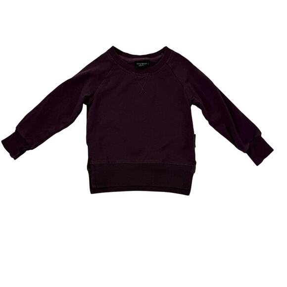 Little Bipsy Deep Purple Lightweight Sweatshirt - Picture 1 of 5